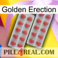 Golden Erection 19